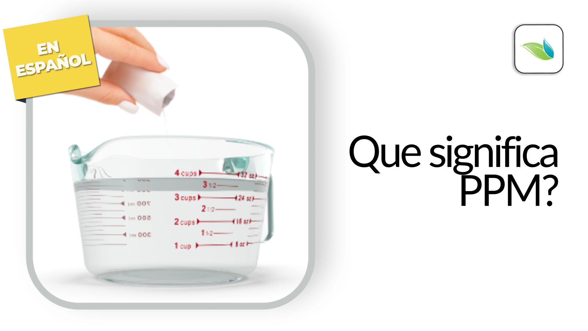 Que Significa PPM 